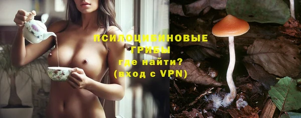 эйфоретик Баксан
