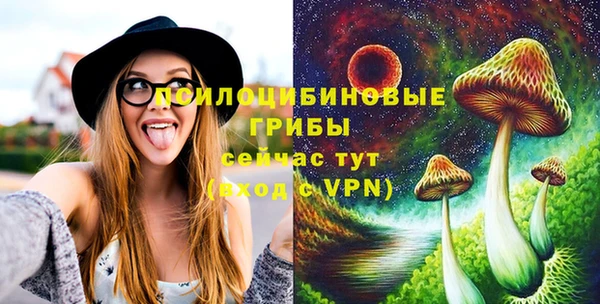 тгк Балахна