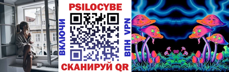 где купить наркотик  Озёры  Галлюциногенные грибы прущие грибы 